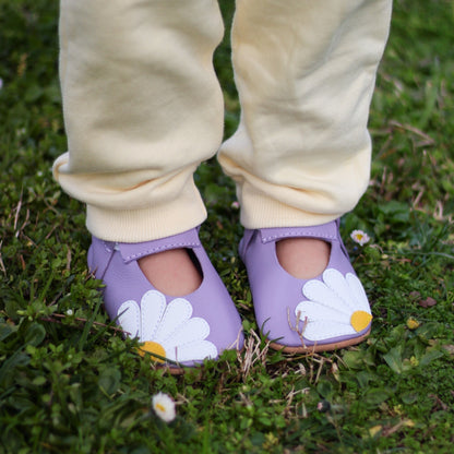 Daisies Lila