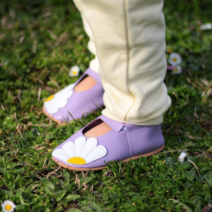 Daisies Lila