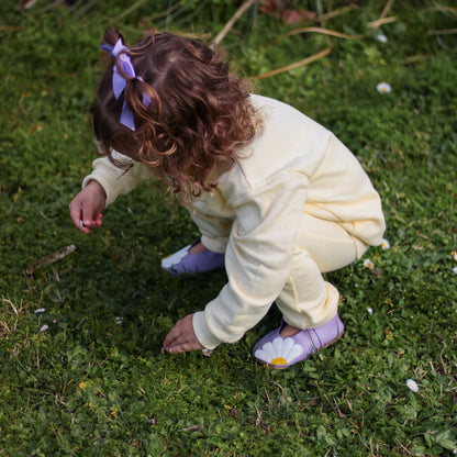 Daisies Lila