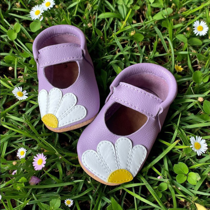 Daisies Lila