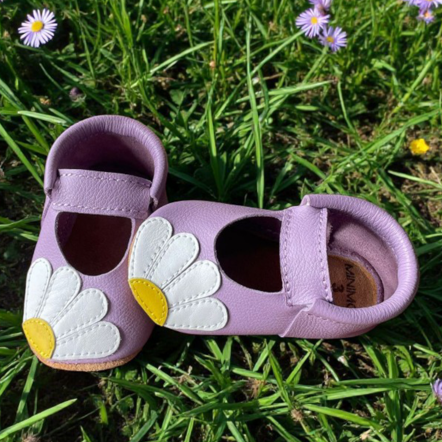 Daisies Lila